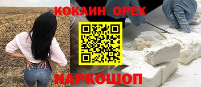 прущие грибы Лесосибирск