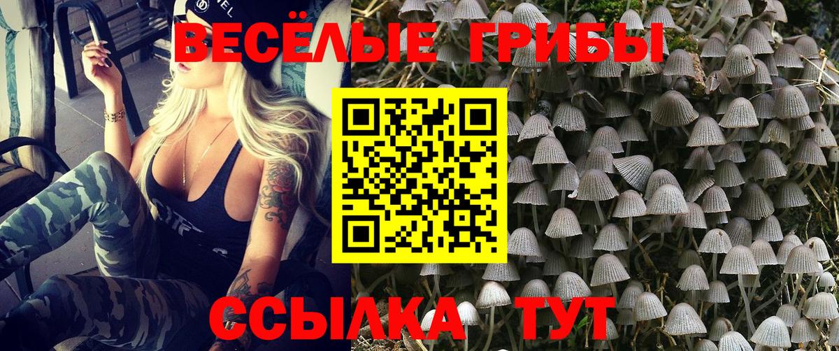 Галлюциногенные грибы ЛСД Жуковский
